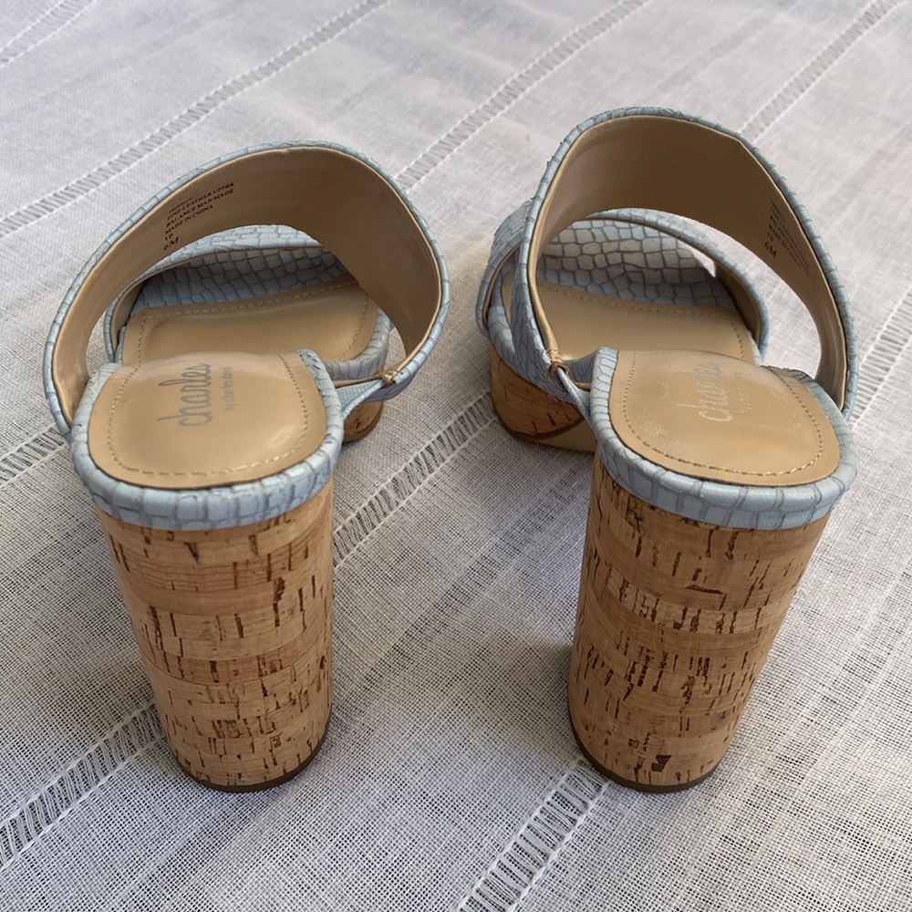 Charles By Charles David Block Heel Sandal In Pas… - image 4